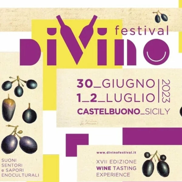 DiVino Festival: esperienza enogastronomica indimenticabile