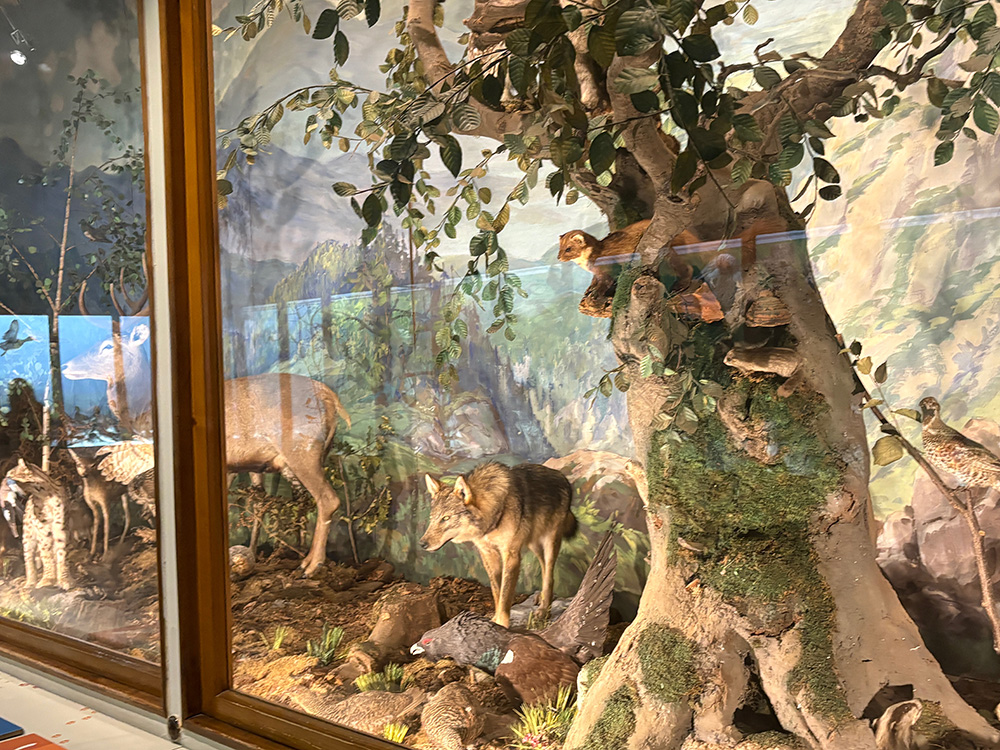 Museo di storia naturale di Lubiana